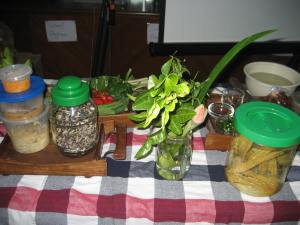 Sample herbs, plants and food brought by Harith